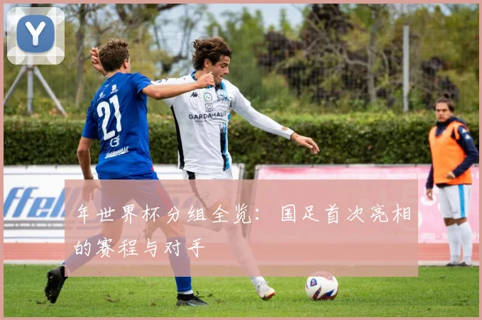 年世界杯分组全览：国足首次亮相的赛程与对手